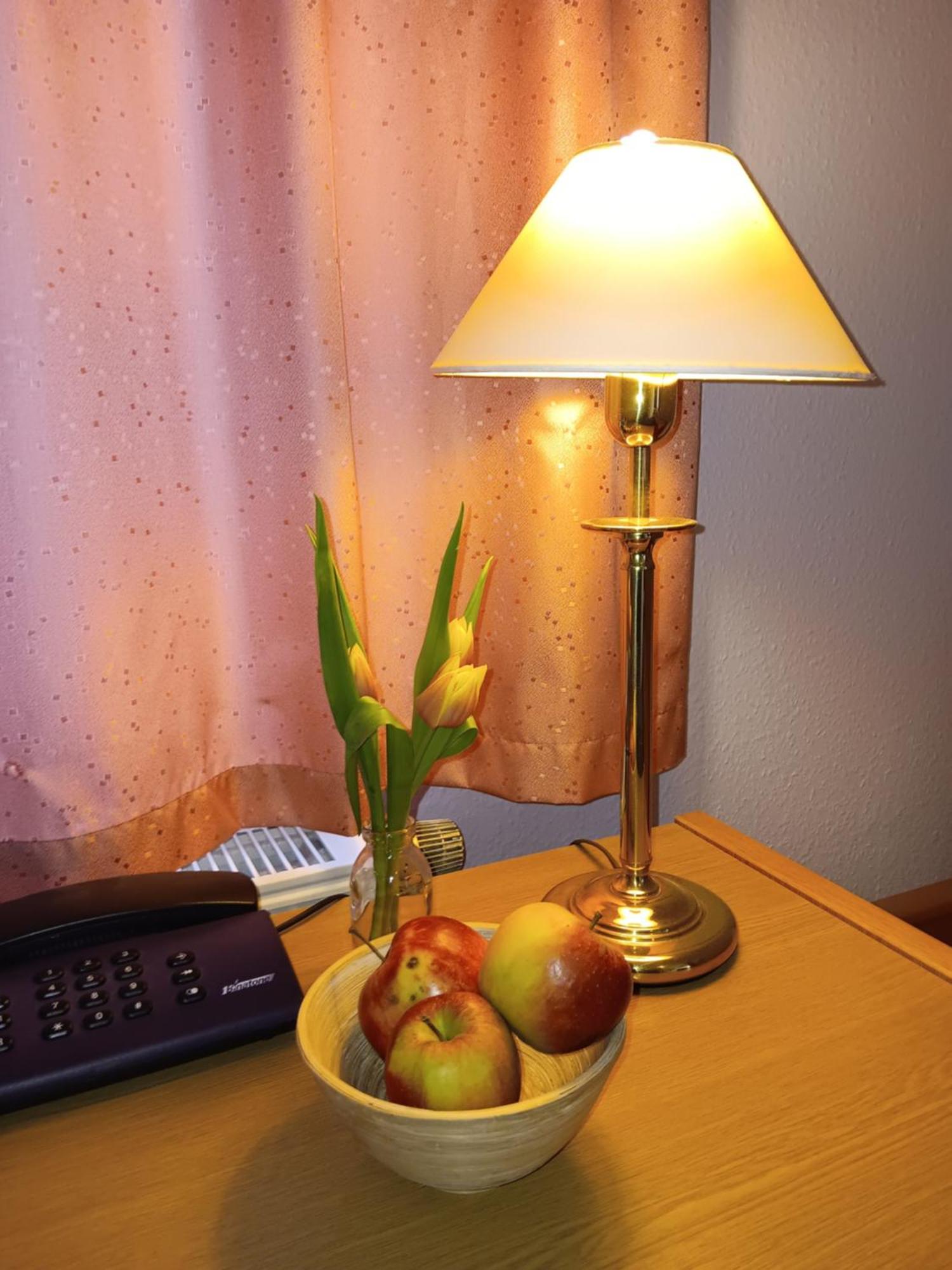 Hotel Burghof Oberweißbach Dış mekan fotoğraf