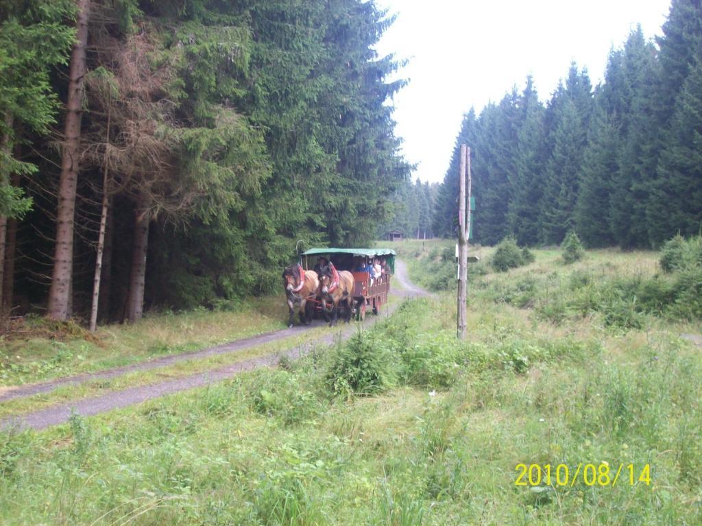 Hotel Burghof Oberweißbach Oda fotoğraf